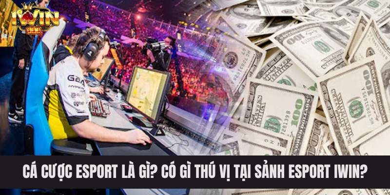 Cá Cược Esport Là Gì? Có Gì Thú Vị Tại Sảnh Esport IWIN?